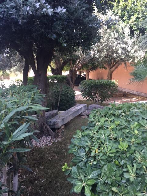 فيلا Il Giardino Dei Melograni فافارا المظهر الخارجي الصورة